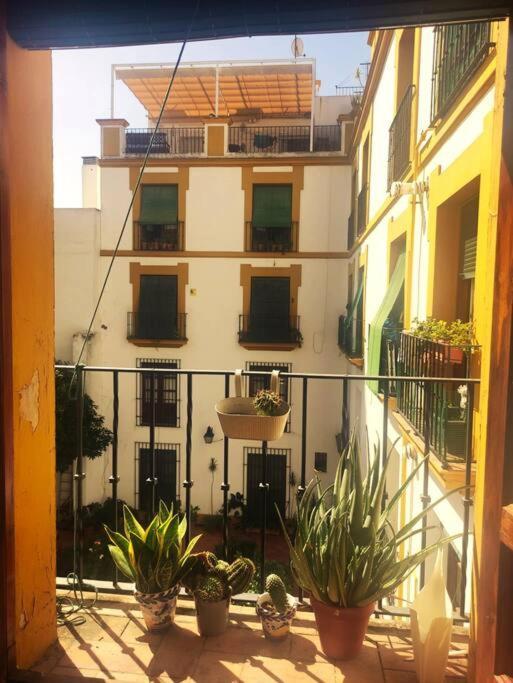 Plaza Cristo De Burgos Daire Sevilla Dış mekan fotoğraf