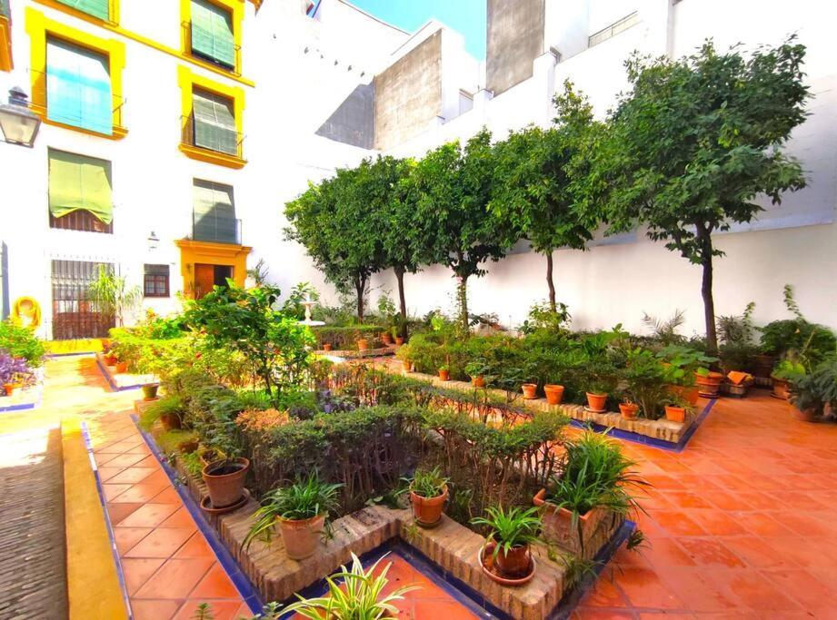 Plaza Cristo De Burgos Daire Sevilla Dış mekan fotoğraf
